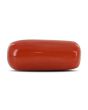Red Coral (Moonga) - 10.49 Carat 