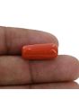 Red Coral (Moonga) - 10.49 Carat 