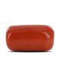 Red Coral (Moonga) - 16.16 Carat 
