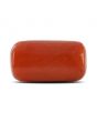 Red Coral (Moonga) - 16.16 Carat 