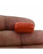 Red Coral (Moonga) - 16.16 Carat 