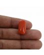Red Coral (Moonga) - 16.16 Carat 