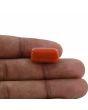 Red Coral (Moonga) - 16.16 Carat 