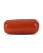 Red Coral (Moonga) - 12.2 Carat 
