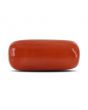 Red Coral (Moonga) - 12.2 Carat 