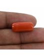 Red Coral (Moonga) - 12.2 Carat 