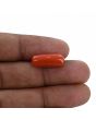 Red Coral (Moonga) - 8.49 Carat 