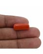Red Coral (Moonga) - 8.49 Carat 