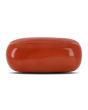 Red Coral (Moonga) - 10.88 Carat 