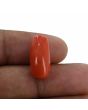 Red Coral (Moonga) - 11.78 Carat 