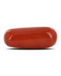 Red Coral (Moonga) - 10.2 Carat 