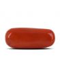 Red Coral (Moonga) - 10.2 Carat 