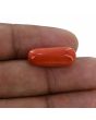 Red Coral (Moonga) - 10.2 Carat 