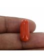 Red Coral (Moonga) - 10.2 Carat 