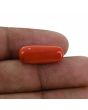 Red Coral (Moonga) - 10.2 Carat 