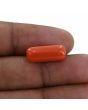 Red Coral (Moonga) - 8.19 Carat 