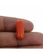 Red Coral (Moonga) - 8.19 Carat 
