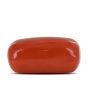 Red Coral (Moonga) - 8.49 Carat 