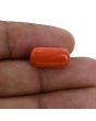 Red Coral (Moonga) - 8.49 Carat 