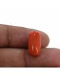 Red Coral (Moonga) - 8.49 Carat 