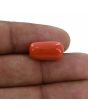 Red Coral (Moonga) - 9.72 Carat 