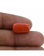 Red Coral (Moonga) - 9.72 Carat 