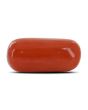 Red Coral (Moonga) - 11.76 Carat 