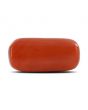 Red Coral (Moonga) - 11.76 Carat 