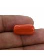 Red Coral (Moonga) - 11.76 Carat 