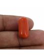 Red Coral (Moonga) - 11.76 Carat 