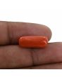 Red Coral (Moonga) - 8.84 Carat 