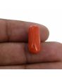Red Coral (Moonga) - 8.84 Carat 