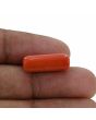 Red Coral (Moonga) - 10.28 Carat 