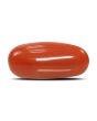 Red Coral (Moonga) - 6.61 Carat 