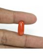 Red Coral (Moonga) - 6.61 Carat 