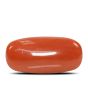 Red Coral (Moonga) - 8.83 Carat 