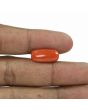 Red Coral (Moonga) - 8.83 Carat 