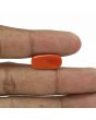 Red Coral (Moonga) - 8.83 Carat 
