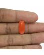 Red Coral (Moonga) - 8.83 Carat 