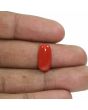 Red Coral (Moonga) - 5.94 Carat 