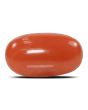 Red Coral (Moonga) - 6.96 Carat 