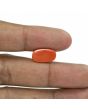 Red Coral (Moonga) - 6.96 Carat 