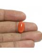 Red Coral (Moonga) - 6.96 Carat 