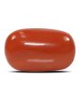 Red Coral (Moonga) - 14.9 Carat 