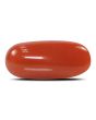 Red Coral (Moonga) - 5.93 Carat 