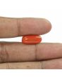 Red Coral (Moonga) - 5.93 Carat 