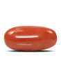 Red Coral (Moonga) - 9.35 Carat 