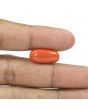 Red Coral (Moonga) - 9.35 Carat 