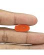 Red Coral (Moonga) - 9.35 Carat 
