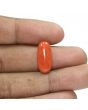 Red Coral (Moonga) - 9.35 Carat 